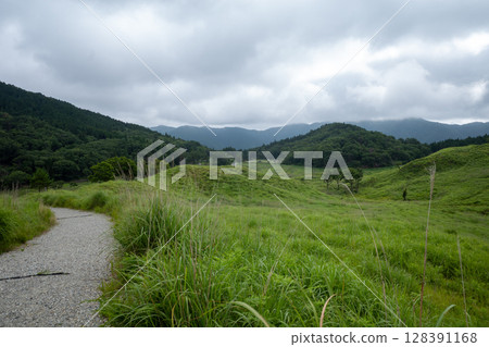 Beautiful summer scenery of Tonomine Plateau in Kamikawa Town, Hyogo Prefecture, Japan 128391168