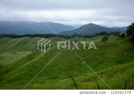 Beautiful summer scenery of Tonomine Plateau in Kamikawa Town, Hyogo Prefecture, Japan 128391179