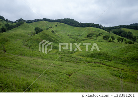 Beautiful summer scenery of Tonomine Plateau in Kamikawa Town, Hyogo Prefecture, Japan 128391201
