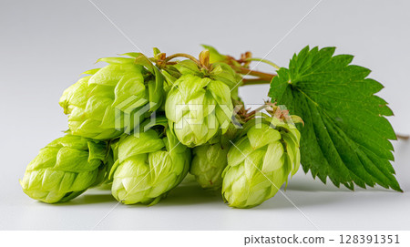 Close-up of ripe hop cones and leaf, ingredients for brewing beer, creating a natural and aromatic scene 128391351