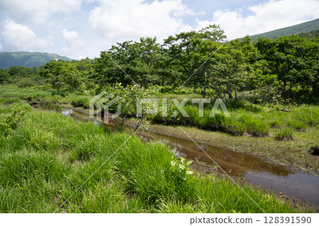 沼麻原濕地風景（栃木縣那須鹽原市） 128391590