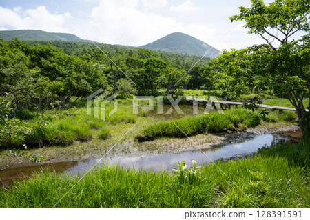 沼麻原濕地風景（栃木縣那須鹽原市） 128391591