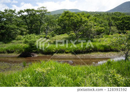 沼麻原濕地風景（栃木縣那須鹽原市） 128391592