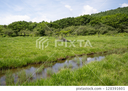 沼麻原濕地風景（栃木縣那須鹽原市） 128391601
