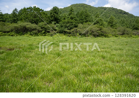 Scenery of Numappara Marsh (Nasushiobara City, Tochigi Prefecture) 128391620