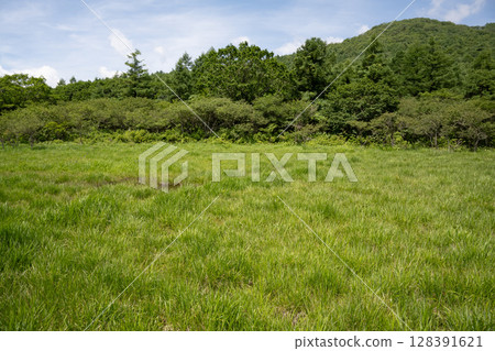 Scenery of Numappara Marsh (Nasushiobara City, Tochigi Prefecture) Scenery of Numappara Marsh (Nasushiobara City, Tochigi Prefecture) 128391621