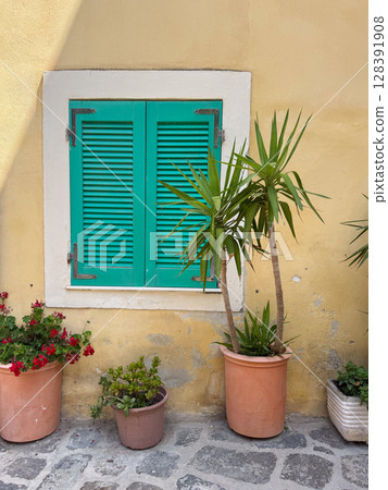 Green shuttered window on a yellow wall is adorned by potted plants. Bright red flowers and lush green plants create a vibrant and inviting atmosphere. Stone pathway foreground. 128391908