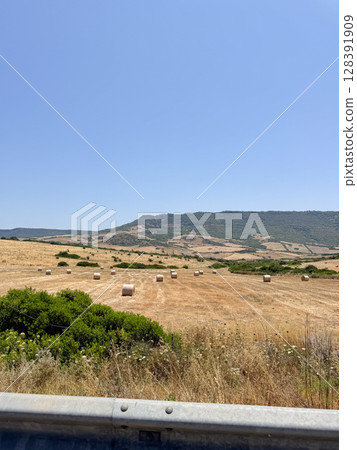 Scenic view of a harvested field with hay bales scattered across the landscape. Rolling hills and clear blue sky create a serene rural countryside panorama during daytime. 128391909