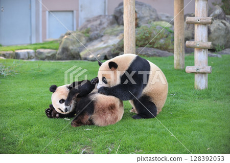 在相濱和明濱一起玩耍 在相濱和明濱一起玩耍 128392053