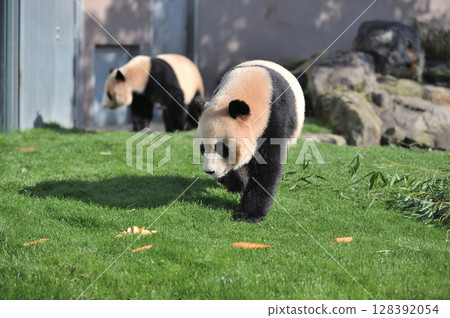 愛濱尋找零食 愛濱尋找零食 128392054