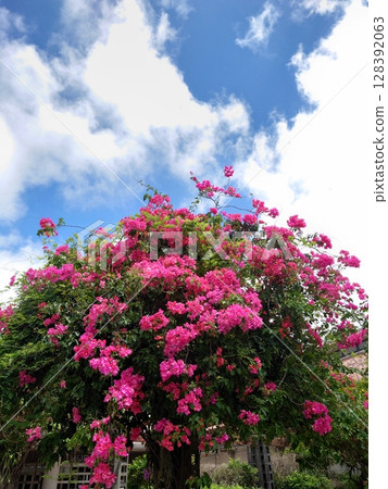 Summer sky 128392063