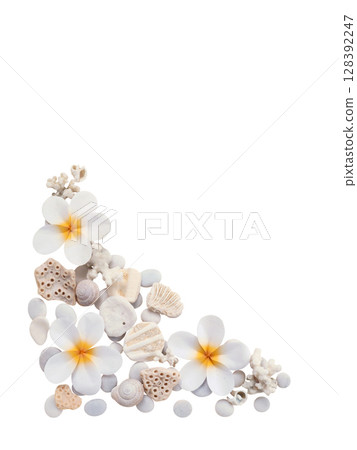 Corner frame with seashells, coral, and tiare flowers on white background 128392247