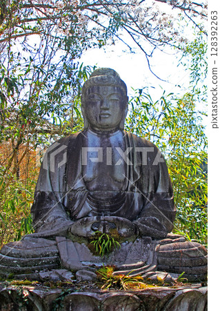 小坂寺石佛 小坂寺石佛 128392263