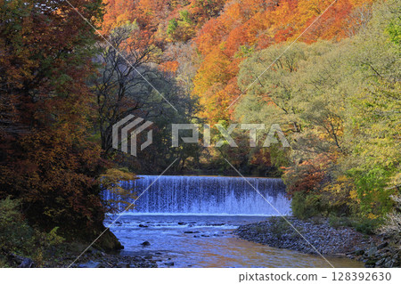 流經白神山地的赤石川的秋意 128392630