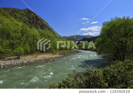 Spring is in the air on the Akaishi River flowing through the Shirakami Mountains 128392639