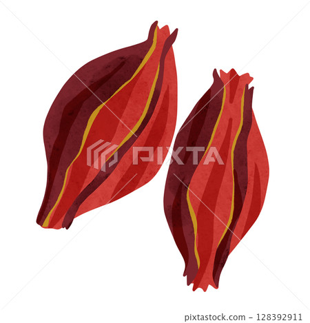 梔子花水彩手繪插畫 梔子花水彩手繪插畫 128392911