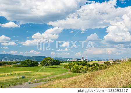 Summer scenery of the Taima area of Yodogawa River Park, Neyagawa City, Osaka Prefecture 128393227
