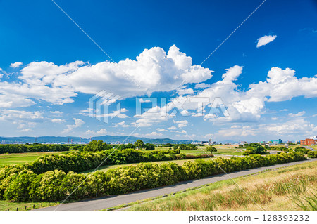 大阪府寢屋川市淀川河流公園當馬地區的夏日風景 大阪府寢屋川市淀川河流公園當馬地區的夏日風景 128393232