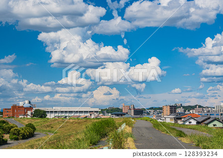Summer scenery of the Taima area of Yodogawa River Park, Neyagawa City, Osaka Prefecture Summer scenery of the Taima area of Yodogawa River Park, Neyagawa City, Osaka Prefecture 128393234