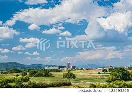 大阪府寢屋川市淀川河流公園當馬地區的夏日風景 大阪府寢屋川市淀川河流公園當馬地區的夏日風景 128393236