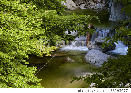 大代川溪谷 一條源自南阿爾卑斯山和凱科馬山的清澈溪流 128393677