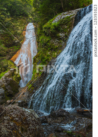 [長野縣風景名勝] 三本瀑布 [右前方的瀑布] 128393823