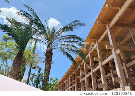 A clear midsummer sky, tropical plants and a large roof ring 128393848