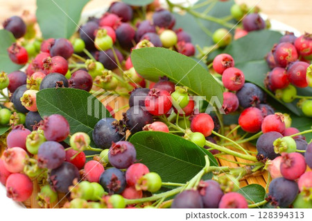 Colorful Juneberry fruit 128394313