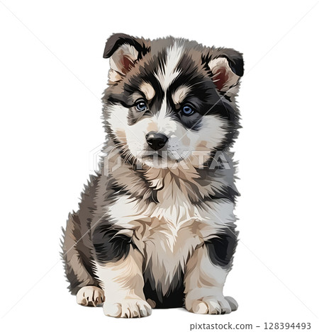 Cutout illustration of a cute sitting Alaskan Malamute (Maru) puppy 128394493