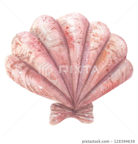 Hand drawn watercolor shell in pink pastel color. Hand drawn watercolor shell in pink pastel color. 128394639