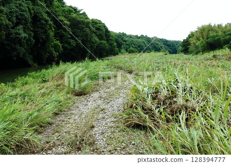 Scenery of floodwaters where the river overflowed and swept away the weeds on the riverbed Scenery of floodwaters where the river overflowed and swept away the weeds on the riverbed 128394777