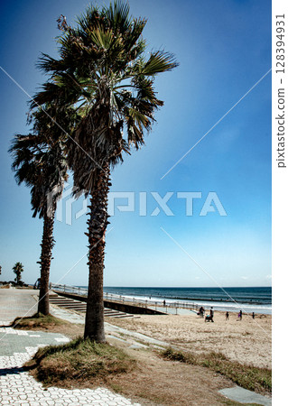 Summer sea, sandy beach and palm trees Summer sea, sandy beach and palm trees 128394931