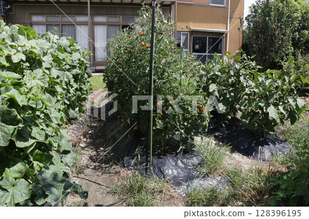 一個好的家庭花園 128396195