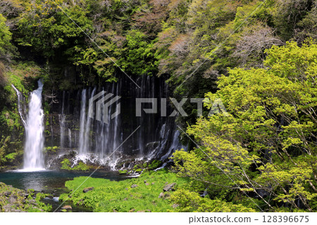 與Shiraito瀑布的風景 與Shiraito瀑布的風景 128396675