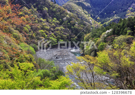 A valley that shines in the fresh green A valley that shines in the fresh green 128396678