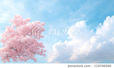 Pink Blossom Tree Against a Bright Blue Sky with Fluffy Clouds and Soft Light 128396866