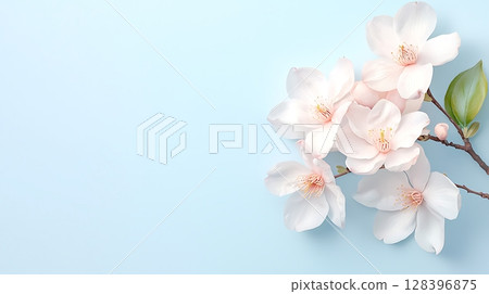 Delicate Pink Blossom Branch on Soft Blue Background for Inspirational Nature Imagery 128396875