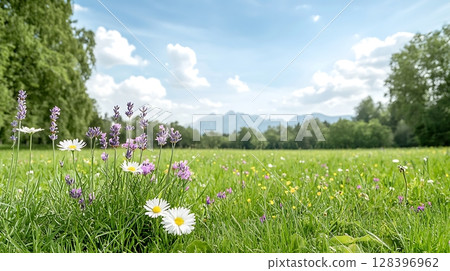 Vibrant Wildflowers and Lush Green Meadow Under Bright Blue Sky and Fluffy Clouds Vibrant Wildflowers and Lush Green Meadow Under Bright Blue Sky and Fluffy Clouds 128396962