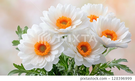 Beautiful White Flowers with Orange Center in a Vibrant Background for Nature Lovers 128396999
