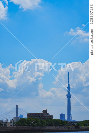 Skytree and Harp Bridge as seen from Okutonakagawa River 128397188