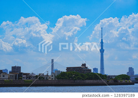 從奧頓中川眺望天空樹與豎琴橋 從奧頓中川眺望天空樹與豎琴橋 128397189