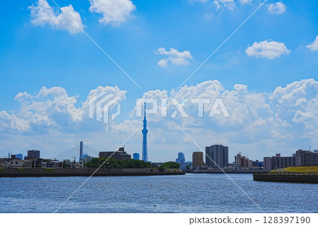 Skytree and Harp Bridge as seen from Okutonakagawa River Skytree and Harp Bridge as seen from Okutonakagawa River 128397190
