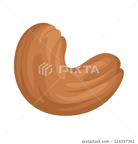 Illustration of Cashew 128397361