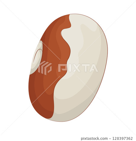 Illustration of Bean 128397362