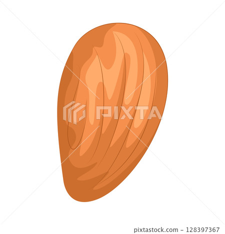 Illustration of Almond Illustration of Almond 128397367