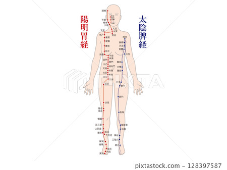 經絡與穴位（陽明胃經、太陰脾經）全身圖 東方醫學、整骨治療、氣功、療法 128397587