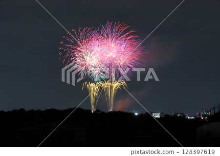 埼玉市煙火大會（東浦和/大牧公園會場：2024年） 128397619