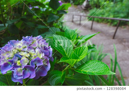 250708 神明神社 z024 128398084