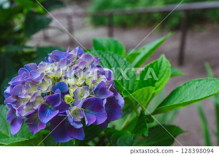 250708 神明神社 z034 128398094