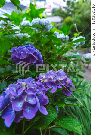 250708 神明神社 z057 128398110